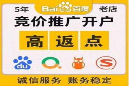 百度搜索引擎优化推广：成功案例揭秘